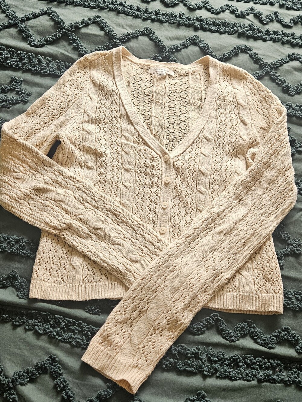 American Eagle Outfitters Knit V-Neck Cardigan
